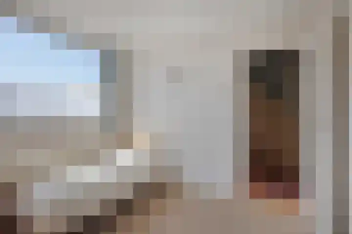 Windhalm 1 Barendrecht thumbnail 17