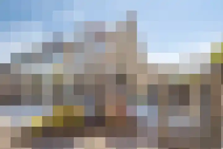Windhalm 1 Barendrecht thumbnail 27