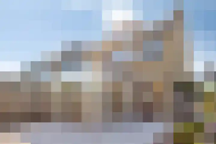 Windhalm 1 Barendrecht thumbnail 29