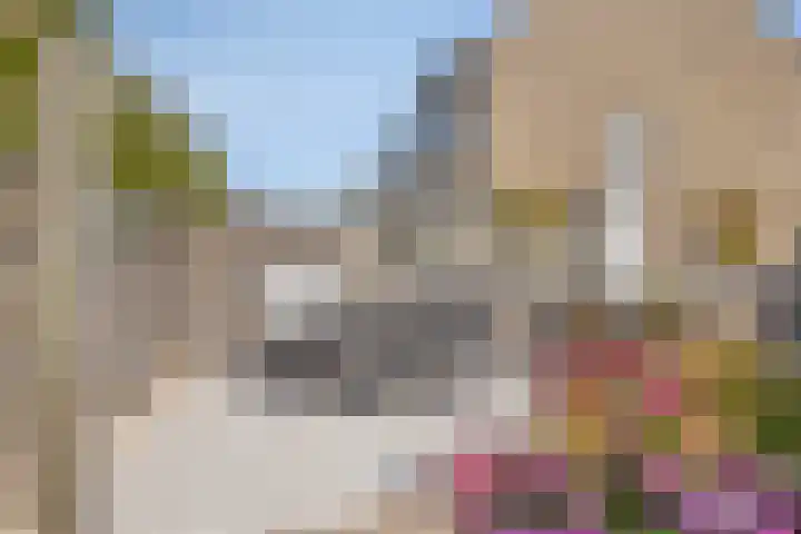 Windhalm 1 Barendrecht thumbnail 31
