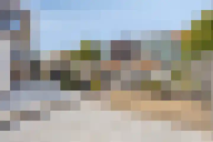 Windhalm 1 Barendrecht thumbnail 33