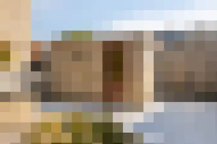Windhalm 1 Barendrecht thumbnail 34