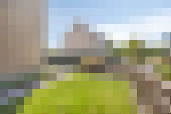 Windhalm 1 Barendrecht thumbnail 35