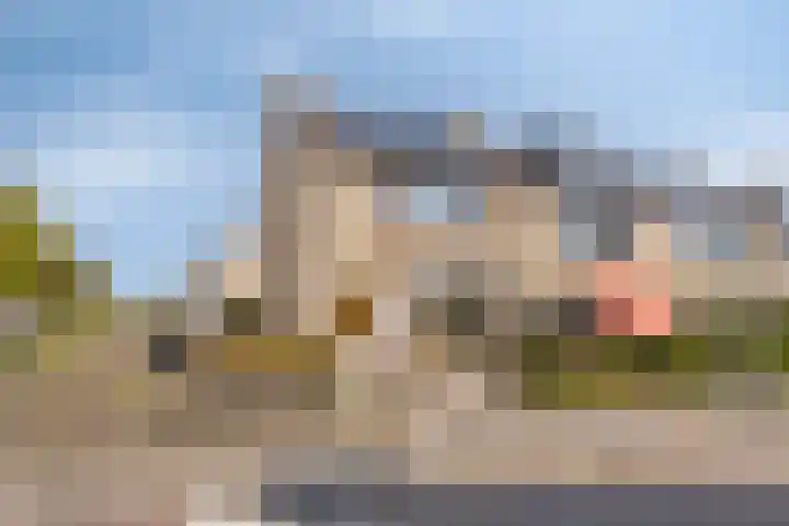 Windhalm 1 Barendrecht thumbnail 38