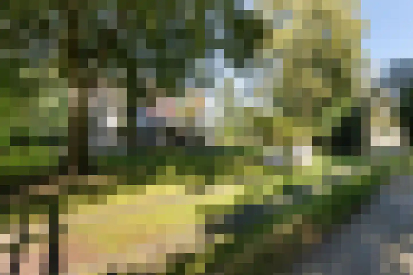 Windhoek 3 Wenum Wiesel thumbnail 4