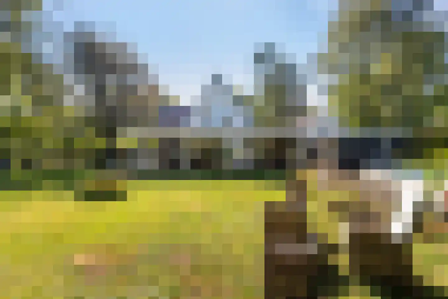 Windhoek 3 Wenum Wiesel thumbnail 56