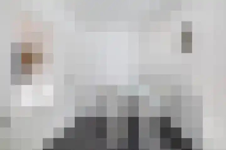 Windhond 13 Tegelen thumbnail 9