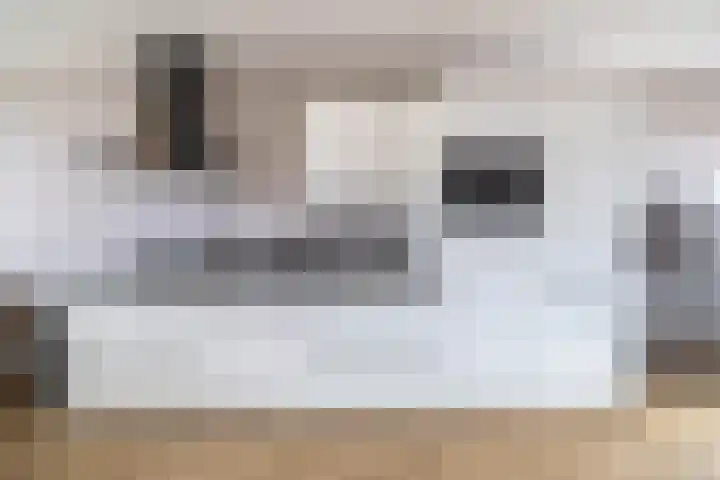 Windkracht 1 Lisse thumbnail 12