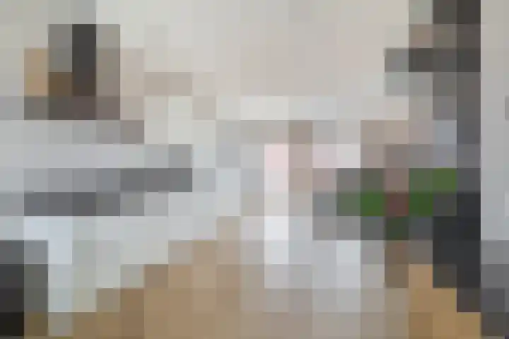 Windkracht 1 Lisse thumbnail 14
