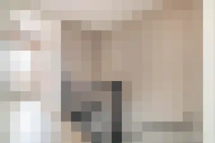 Windkracht 1 Lisse thumbnail 20
