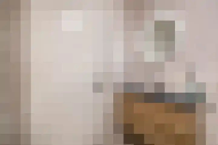 Windkracht 1 Lisse thumbnail 26