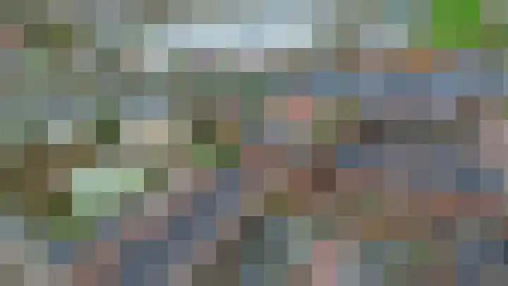 Windkracht 1 Lisse thumbnail 31