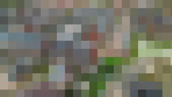 Windkracht 1 Lisse thumbnail 36