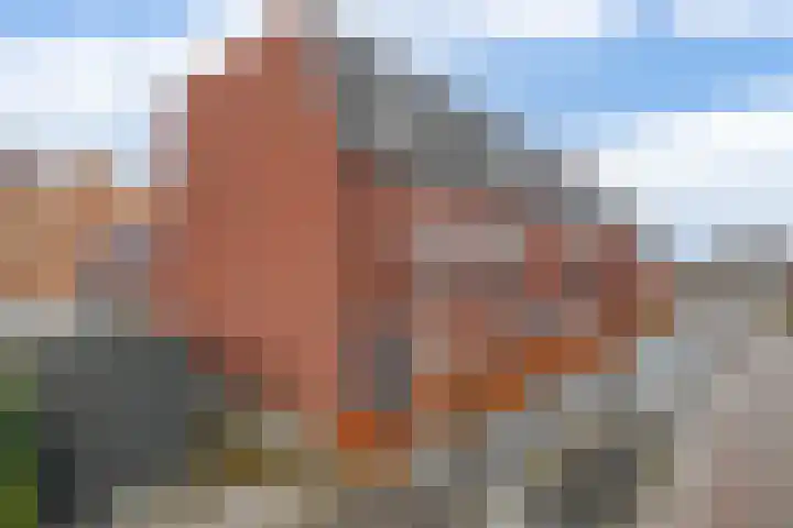 Windkracht 1 Lisse thumbnail 37