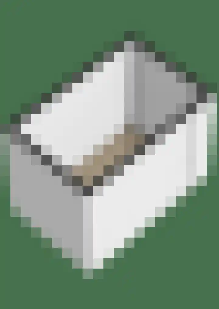 Windkracht 1 Lisse thumbnail 47