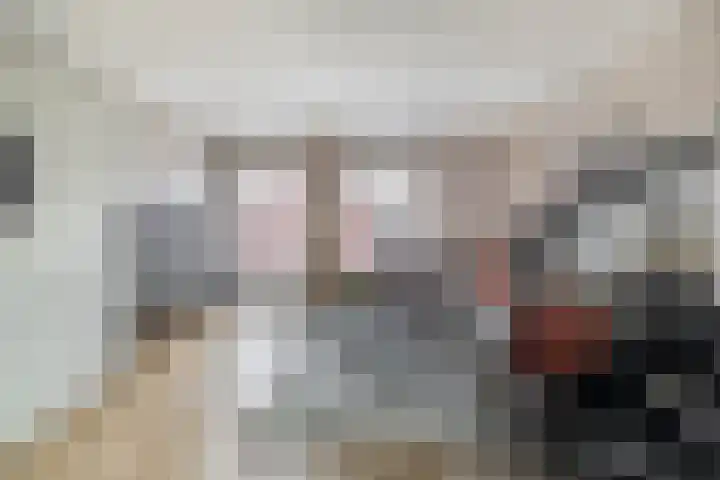 Windkracht 1 Lisse thumbnail 7
