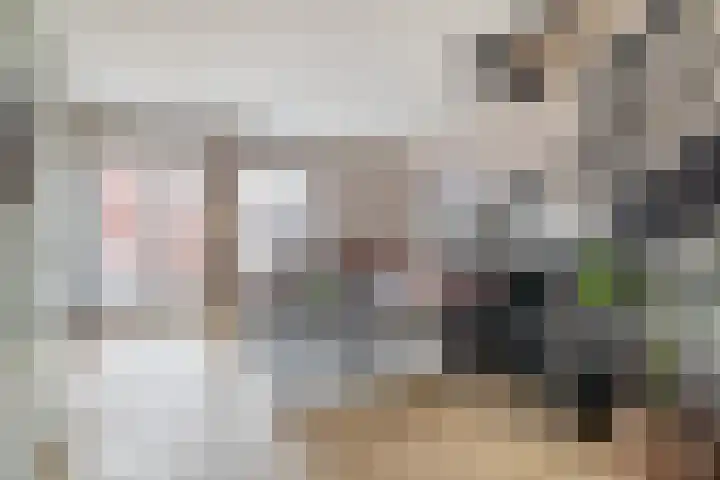 Windkracht 1 Lisse thumbnail 8