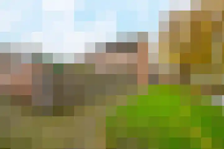 Windmolen 43 Wateringen thumbnail 19