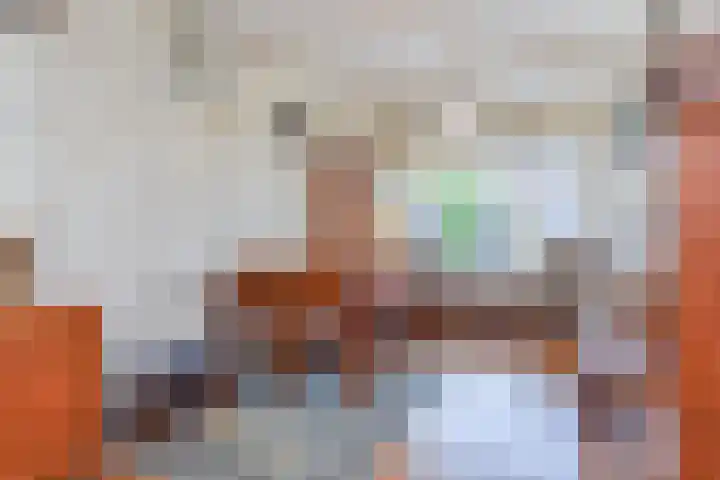 Windmolen 47 Wateringen thumbnail 16