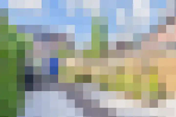 Windmolen 47 Wateringen thumbnail 35