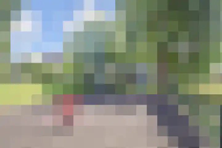 Windmolen 47 Wateringen thumbnail 70