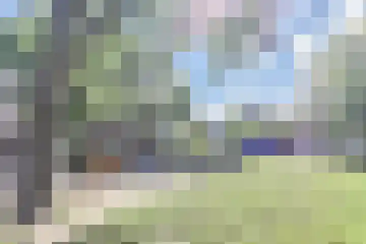 Windmolen 47 Wateringen thumbnail 71