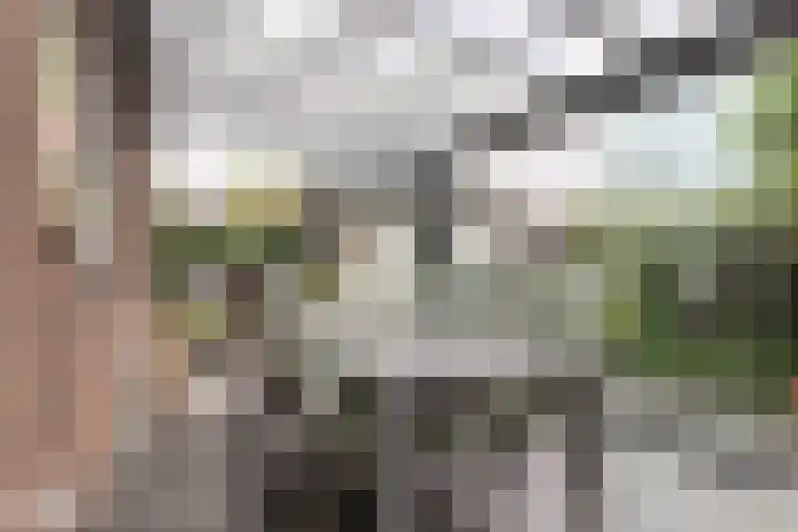 Windmolen 8 Berkel-Enschot thumbnail 34