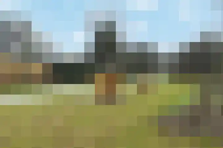Windmolen 8 Ridderkerk thumbnail 27