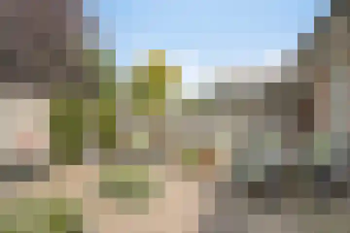 Windmolenstraat 117 Helmond thumbnail 18