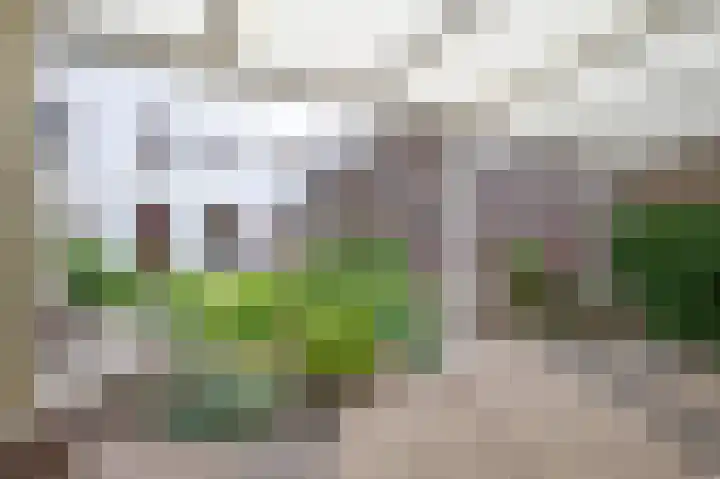 Windraak 15 Windraak thumbnail 11