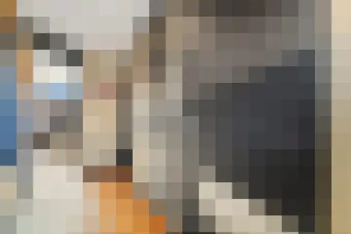 Windrecht 13 Schipluiden thumbnail 13