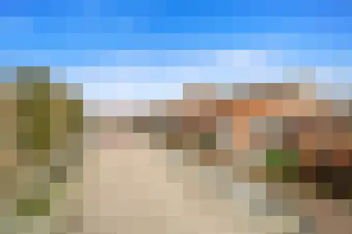 Windrecht 13 Schipluiden thumbnail 7