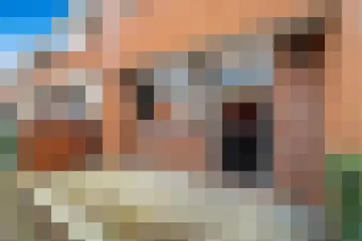 Windrecht 13 Schipluiden thumbnail 9
