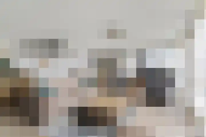 Windrust 11 Leiderdorp thumbnail 10