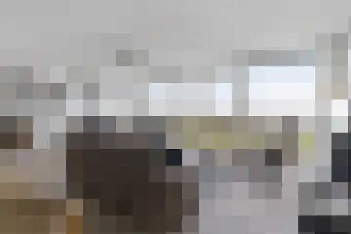 Windrust 11 Leiderdorp thumbnail 15