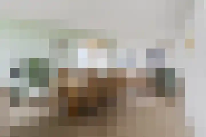 Windrust 11 Leiderdorp thumbnail 17