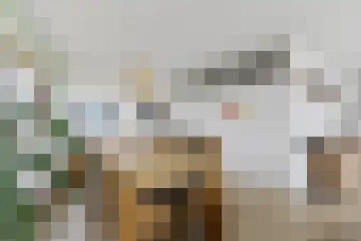 Windrust 11 Leiderdorp thumbnail 18