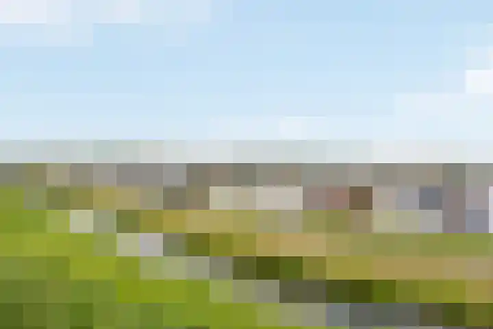 Windrust 11 Leiderdorp foto 2