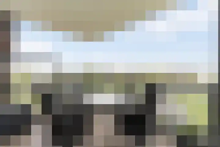 Windrust 11 Leiderdorp thumbnail 21