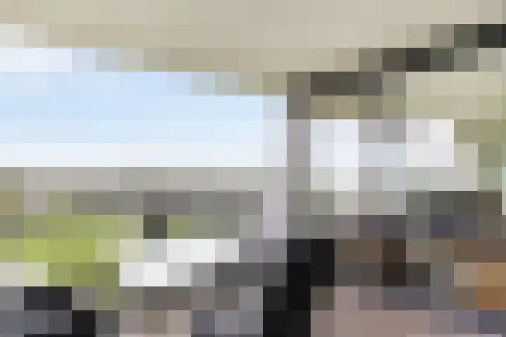 Windrust 11 Leiderdorp thumbnail 22