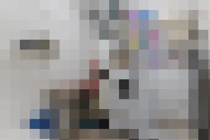 Windrust 11 Leiderdorp thumbnail 33