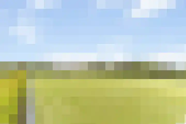 Windrust 11 Leiderdorp thumbnail 34