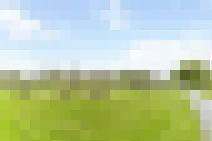 Windrust 11 Leiderdorp thumbnail 35