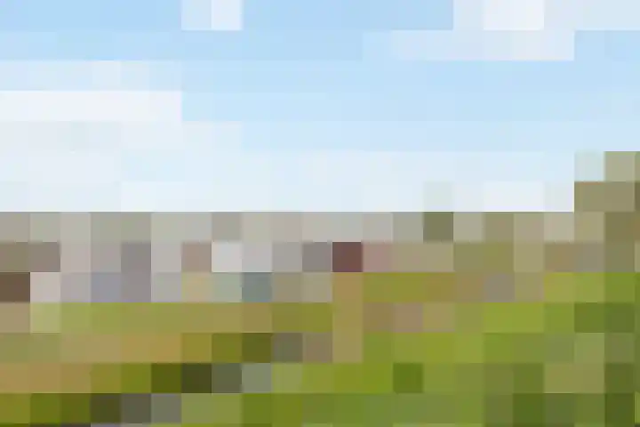 Windrust 11 Leiderdorp thumbnail 4