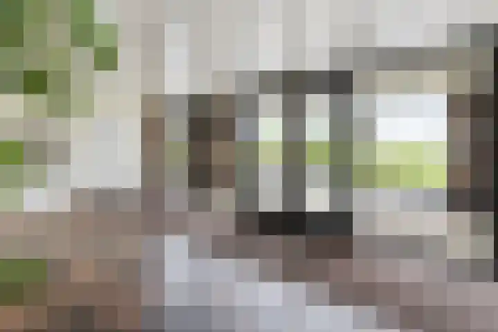 Windrust 11 Leiderdorp thumbnail 5