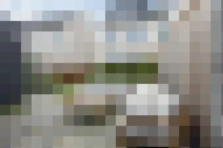 Windsor 14 Zevenhuizen thumbnail 36