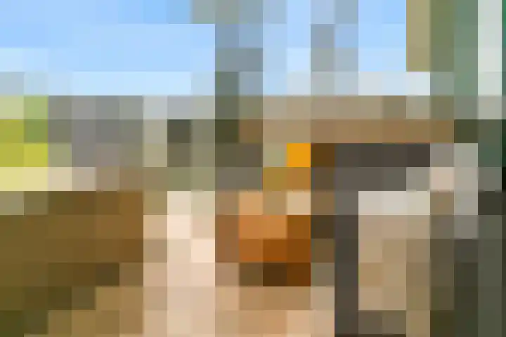Windstilte 443 De Meern thumbnail 18