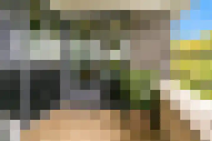 Windstilte 443 De Meern thumbnail 20