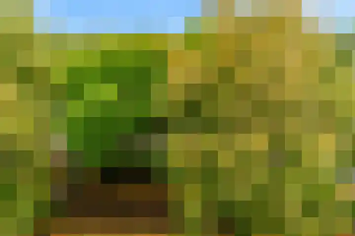 Windstilte 443 De Meern thumbnail 21
