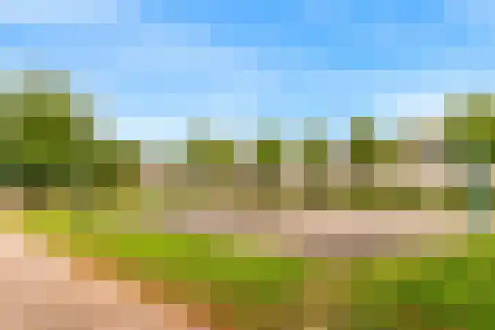 Windstilte 443 De Meern thumbnail 24